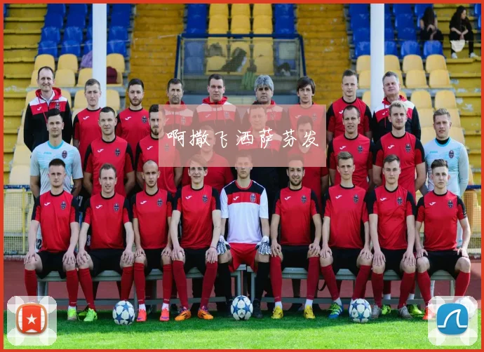 上届世界杯冠军背后的故事：荣耀与争议并存