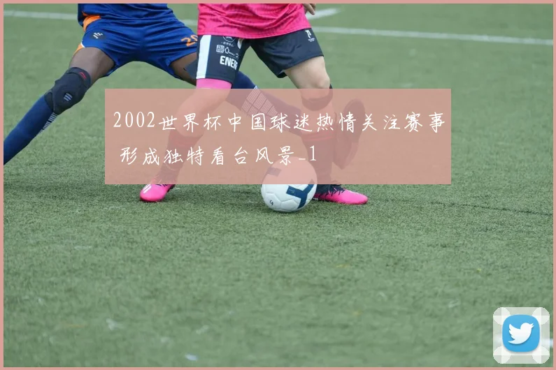 2002世界杯中国球迷热情关注赛事 形成独特看台风景_1