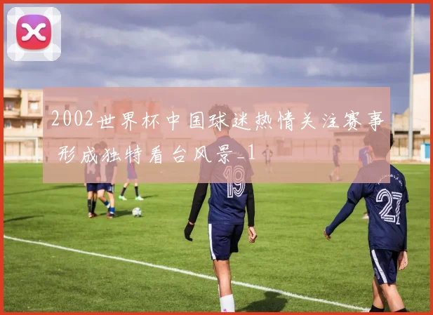 2002世界杯中国球迷热情关注赛事 形成独特看台风景_1
