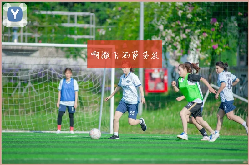 上届世界杯冠军背后的故事：荣耀与争议并存