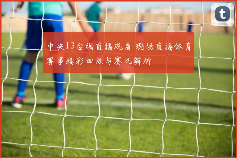 中央13台线直播观看 现场直播体育赛事精彩回放与赛况解析