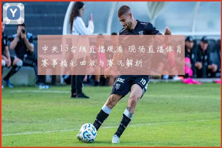 中央13台线直播观看 现场直播体育赛事精彩回放与赛况解析