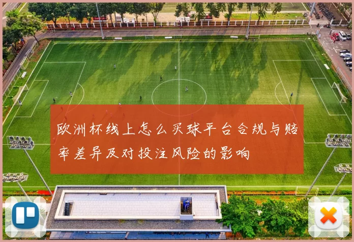 欧洲杯线上怎么买球平台合规与赔率差异及对投注风险的影响
