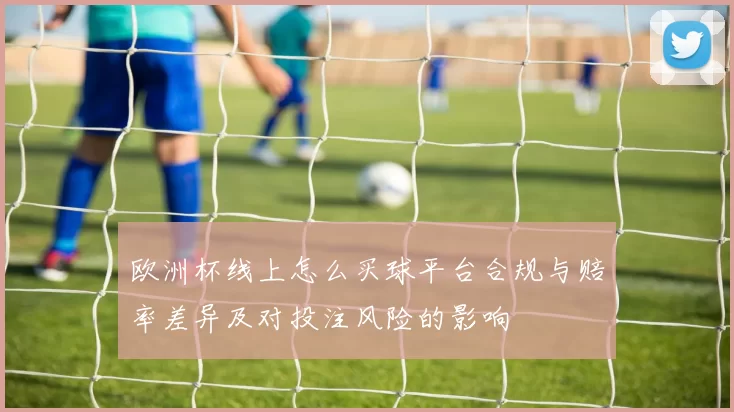 欧洲杯线上怎么买球平台合规与赔率差异及对投注风险的影响
